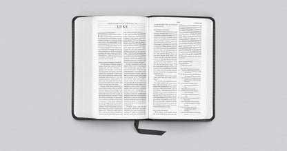 ESV Pocket Bible (TruTone, Black): English Standard Version, Black TruTone Imitation Leather