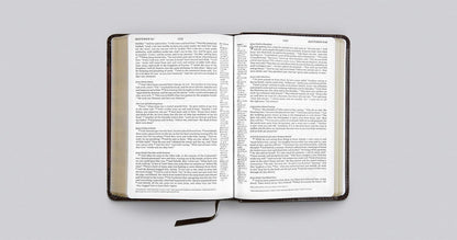 ESV Personal Reference Bible (TruTone, Brown/Walnut, Portfolio Design)