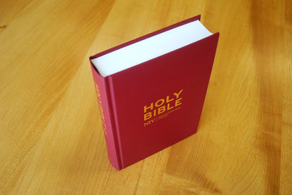 NIV Popular Burgundy Hardback Bible