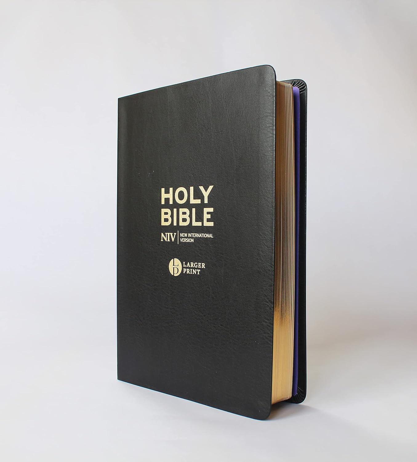 NIV Larger Print Black Leather Bible