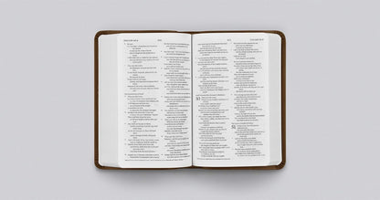 ESV Value Compact Bible (TruTone, Brown)