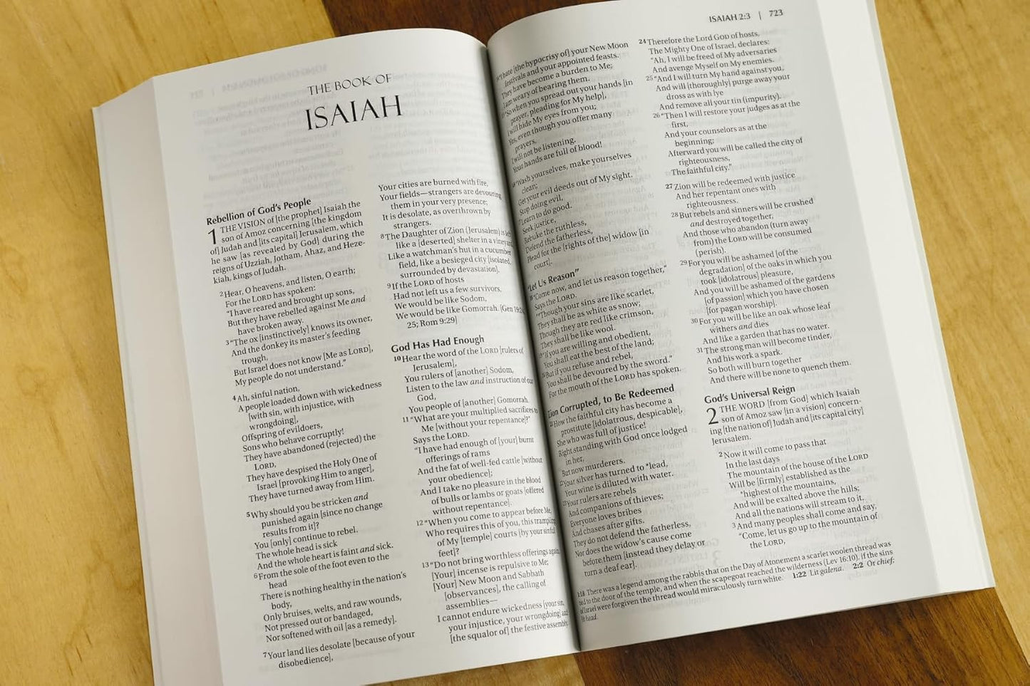 Amplified Outreach Bible, Paperback
