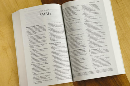 Amplified Outreach Bible, Paperback