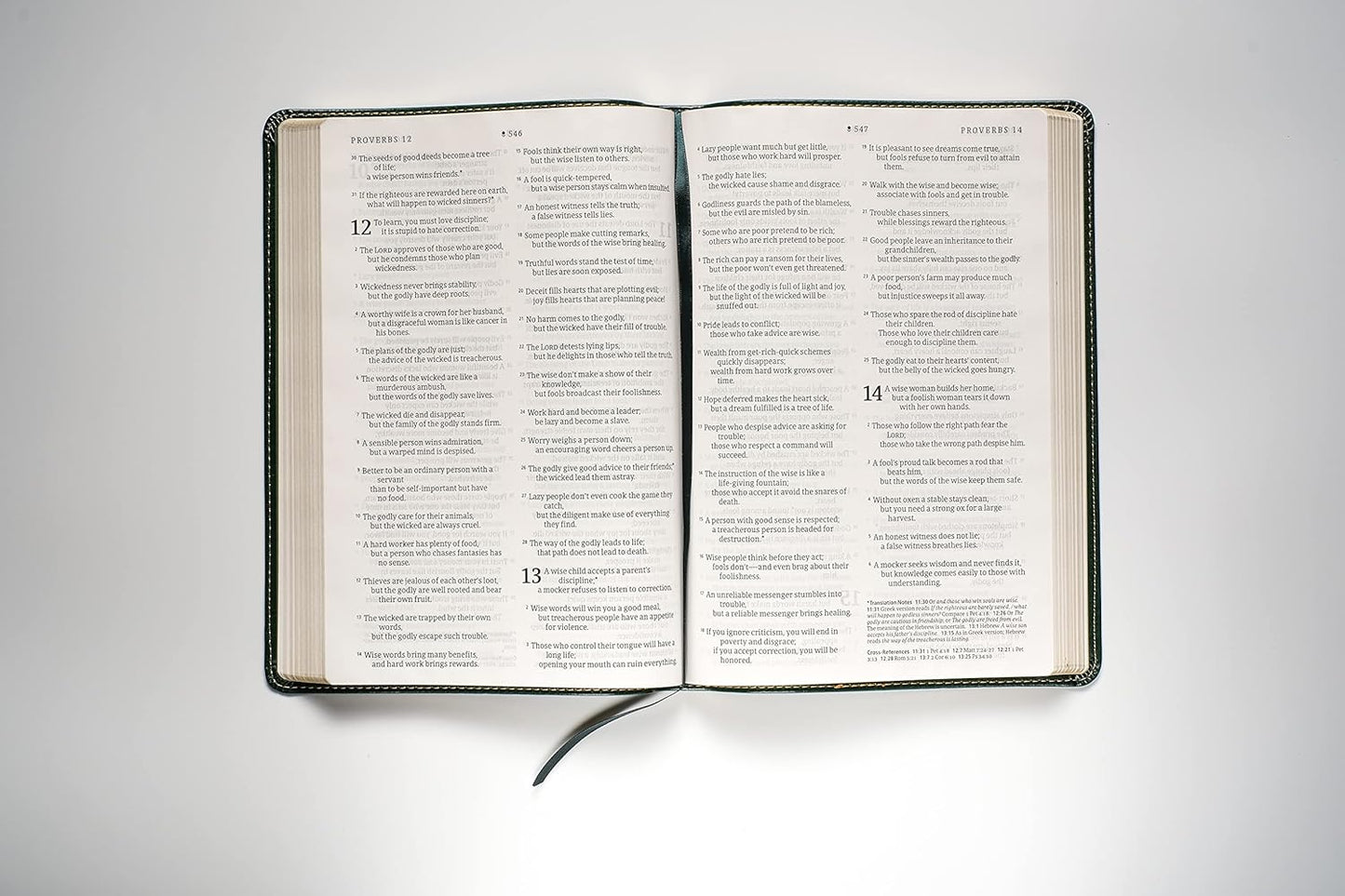 NLT Large Print Thinline Reference Bible, Filament Edition