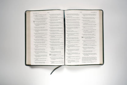 NLT Large Print Thinline Reference Bible, Filament Edition