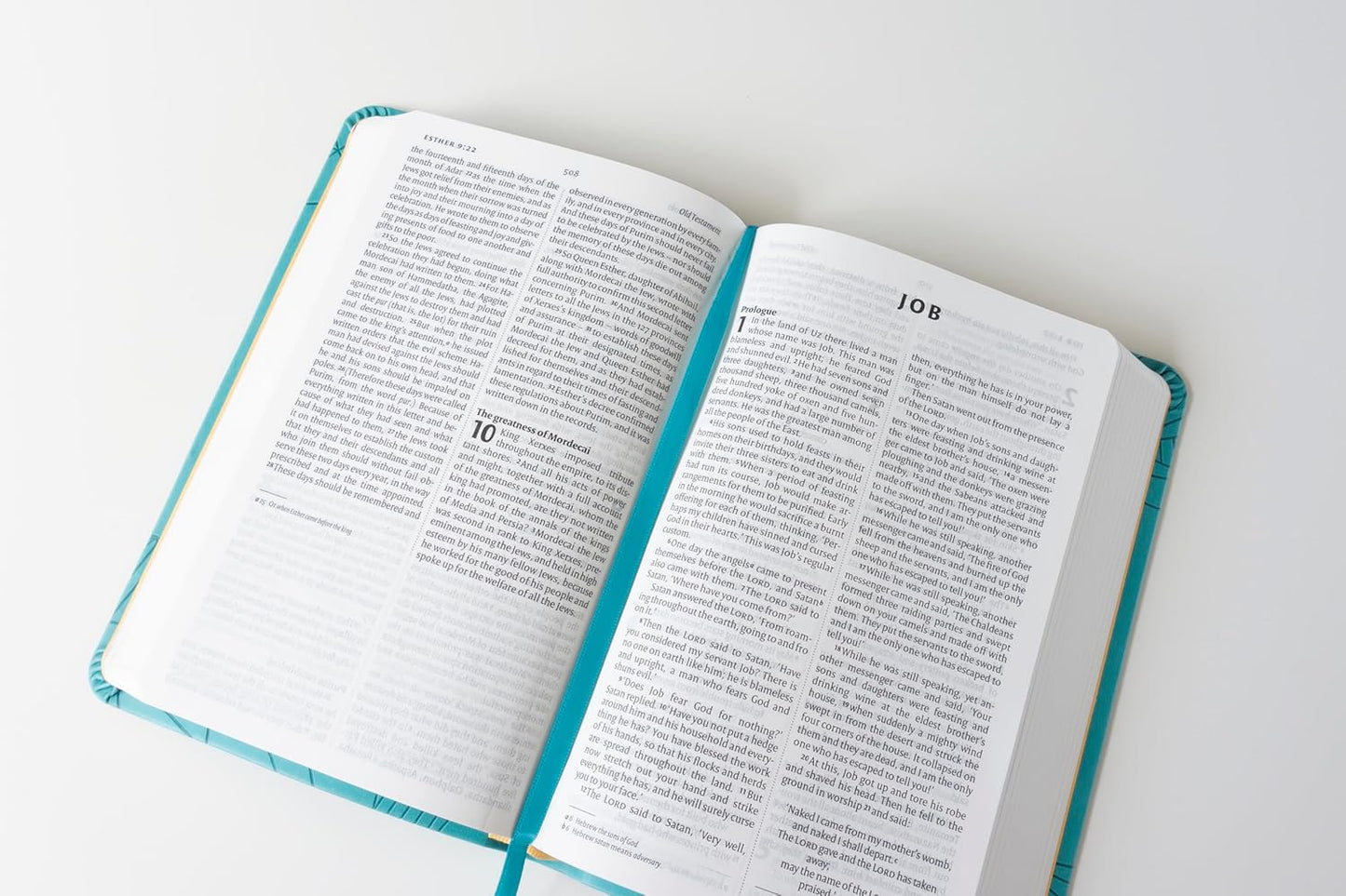 NIV Larger Print Personal Teal Soft-Tone Bible: Gift edition