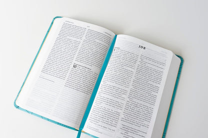 NIV Larger Print Personal Teal Soft-Tone Bible: Gift edition