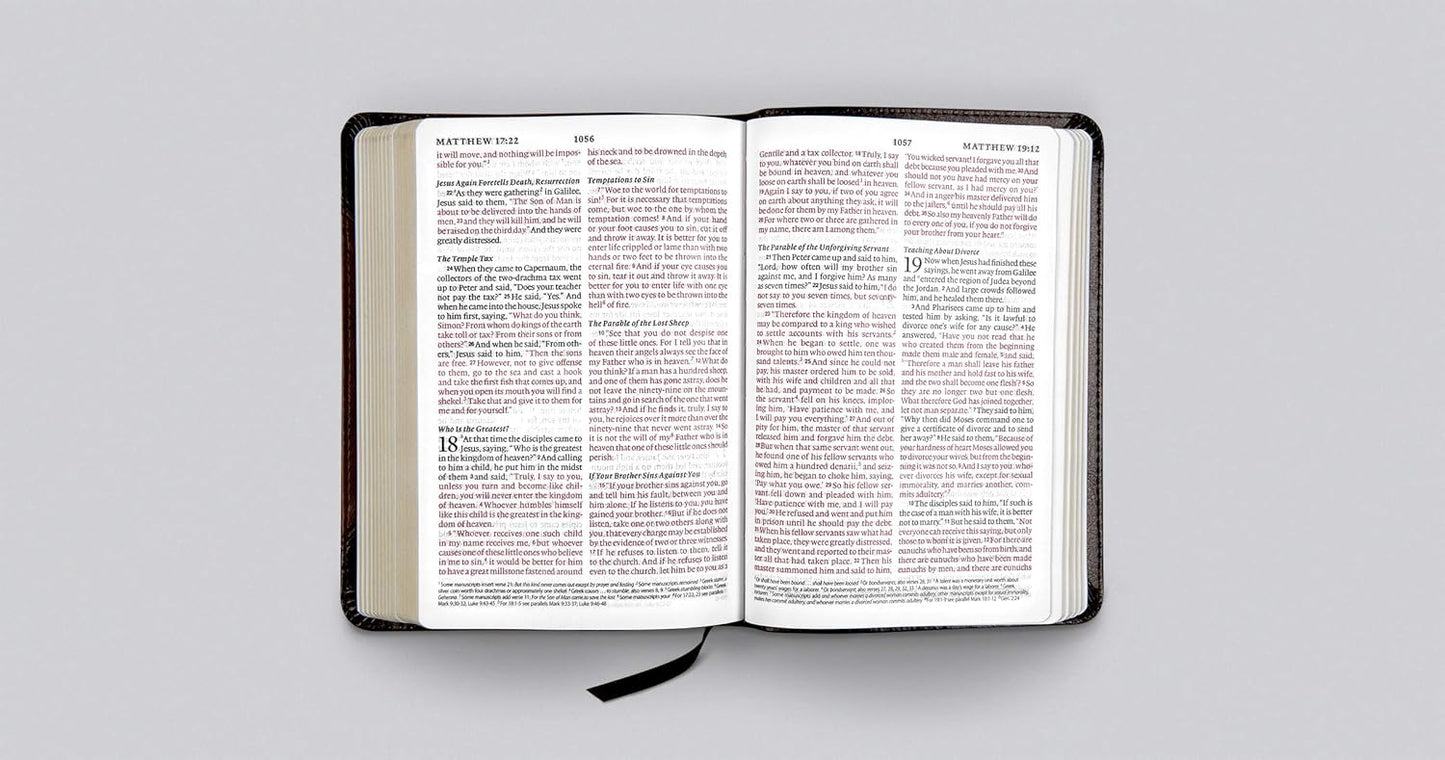 ESV Large Print Compact Bible