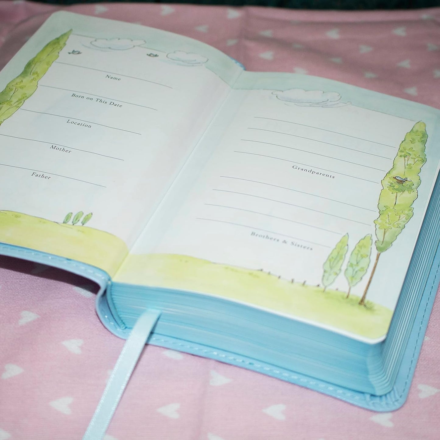 ICB Really Woolly Holy Bible - Pink Imitation Leather