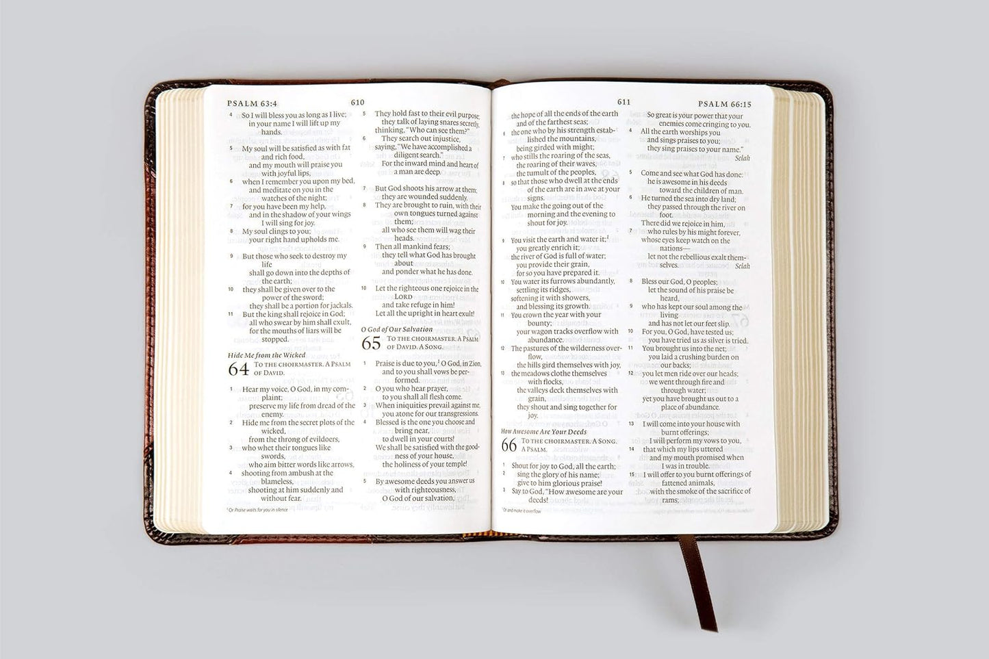 ESV Large Print Compact Bible