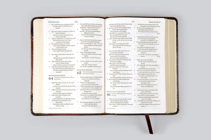 ESV Large Print Compact Bible