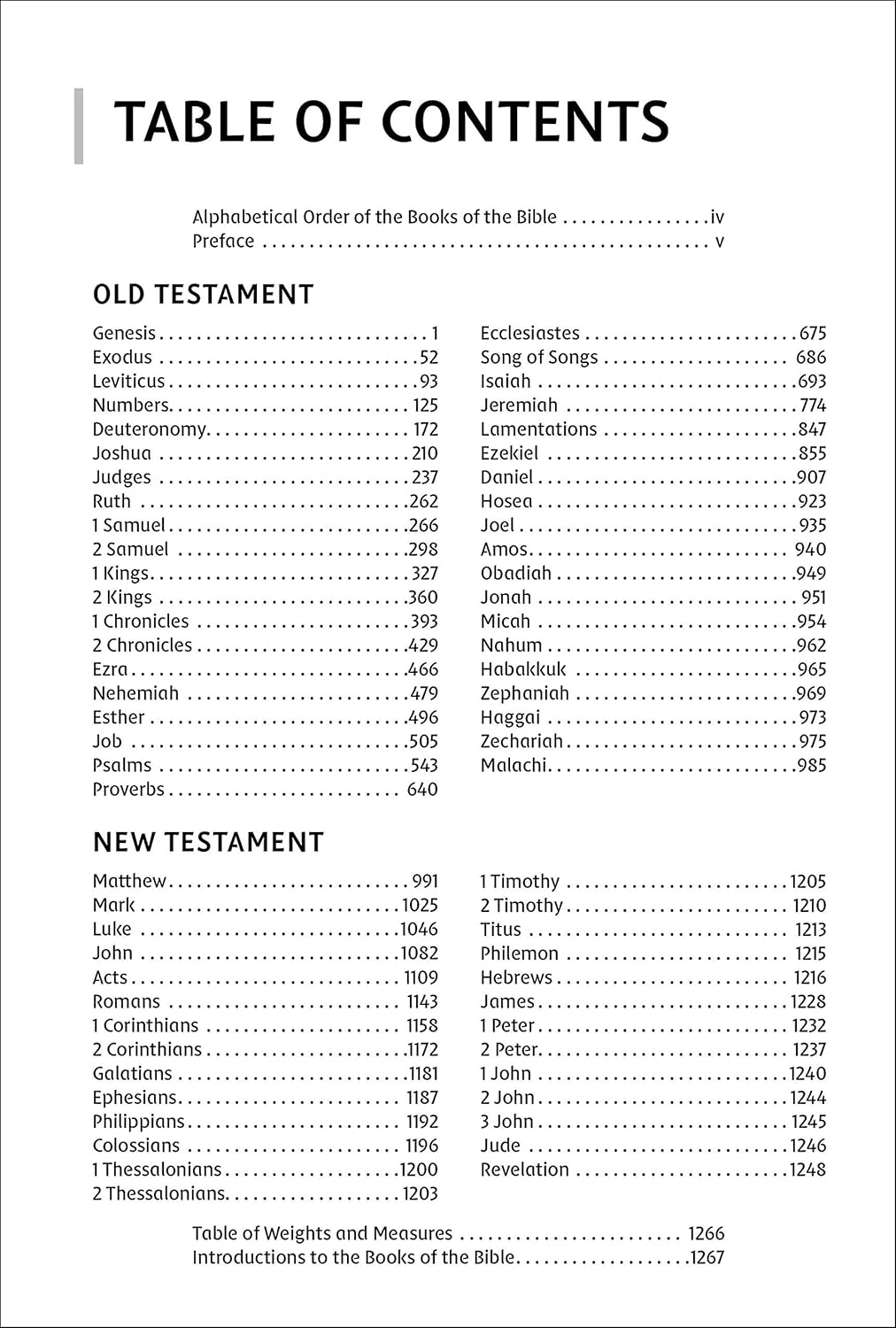 NIrV Bible for Kids, Blue, Large Print