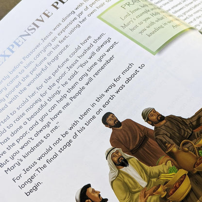 Illustrated Daily Verse/Prayer Bible
