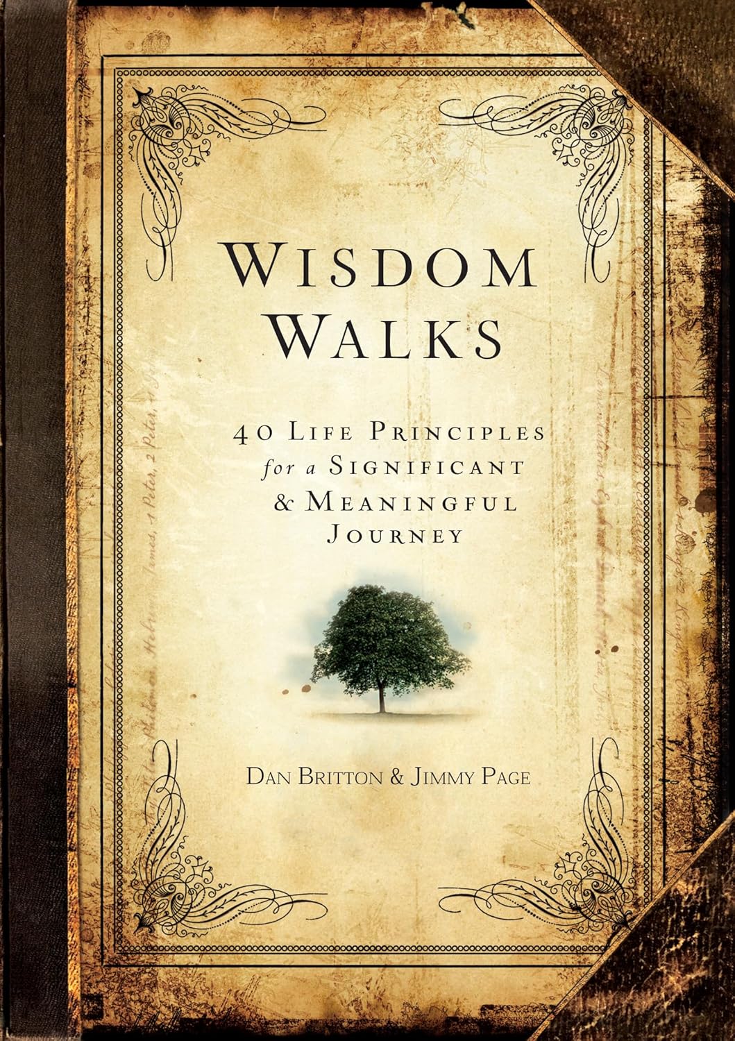 WisdomWalks: 40 Life Principles for a Significant & Meaningful Journey: 40 Life Principles for a Significant and Meaningful Journey