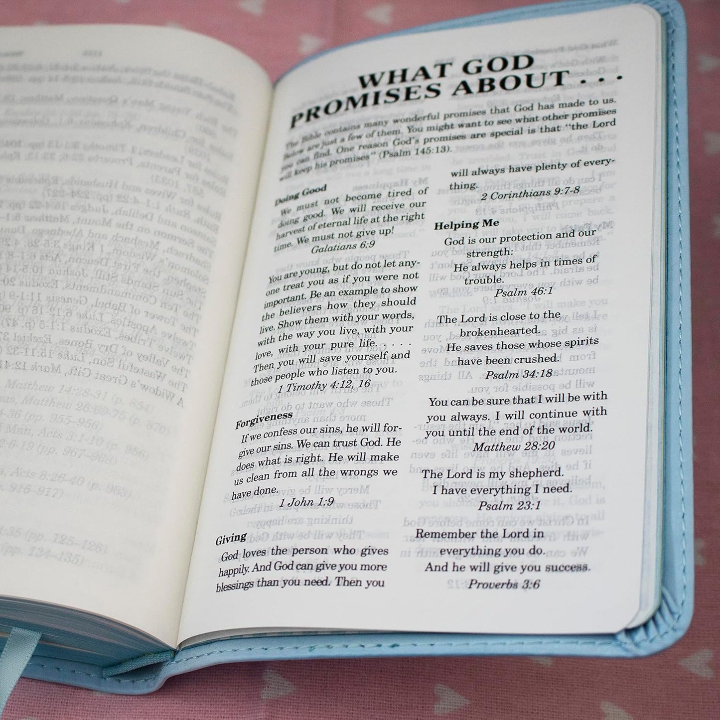 ICB, Really Woolly Holy Bible, Leathersoft, Blue