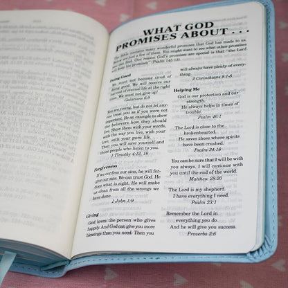 ICB, Really Woolly Holy Bible, Leathersoft, Blue
