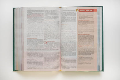 NLT Student Life Application Study Bible, Filament Enabled Edition (Red Letter, Hardcover)