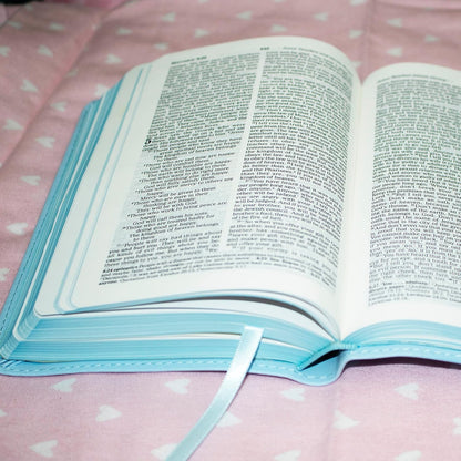 ICB Really Woolly Holy Bible - Pink Imitation Leather