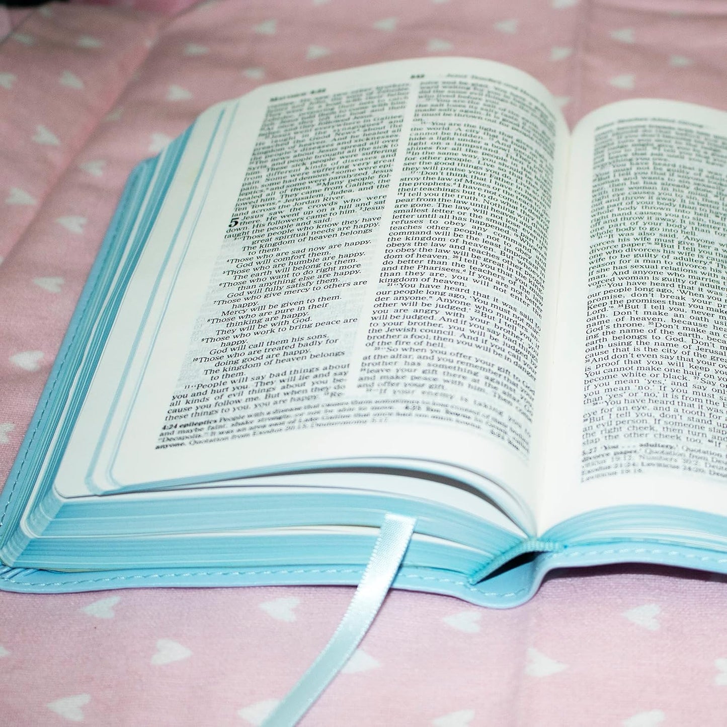 ICB, Really Woolly Holy Bible, Leathersoft, Blue