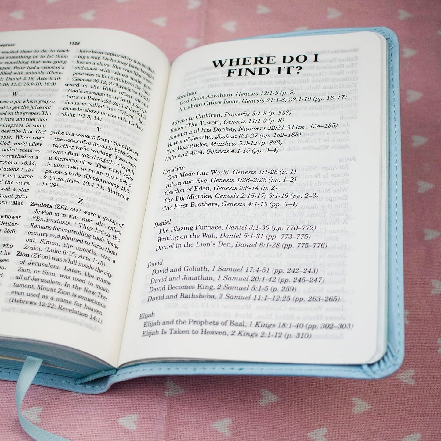 ICB Really Woolly Holy Bible - Pink Imitation Leather
