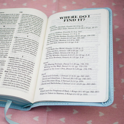 ICB Really Woolly Holy Bible - Pink Imitation Leather