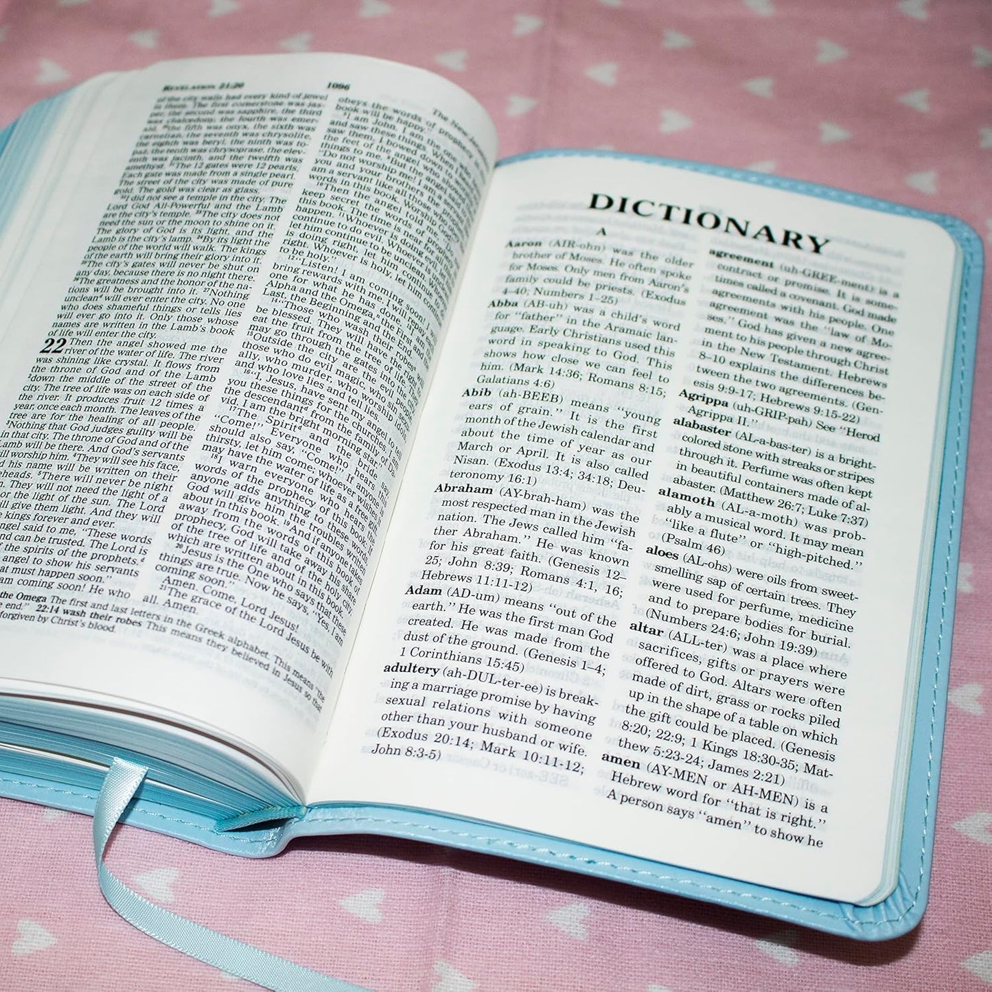 ICB Really Woolly Holy Bible - Pink Imitation Leather