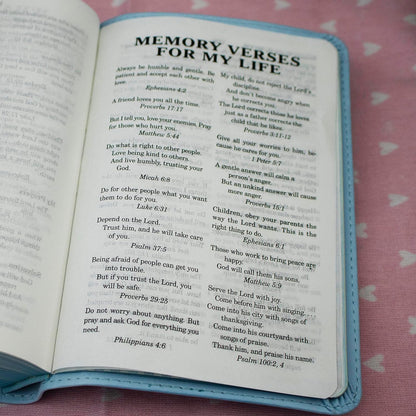ICB Really Woolly Holy Bible - Pink Imitation Leather