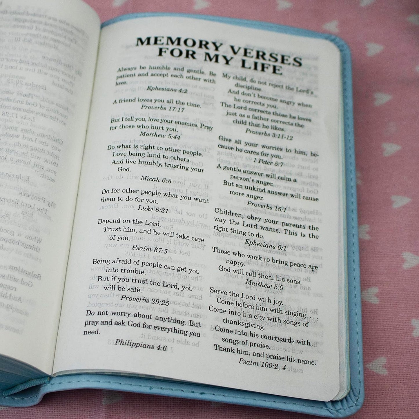 ICB, Really Woolly Holy Bible, Leathersoft, Blue