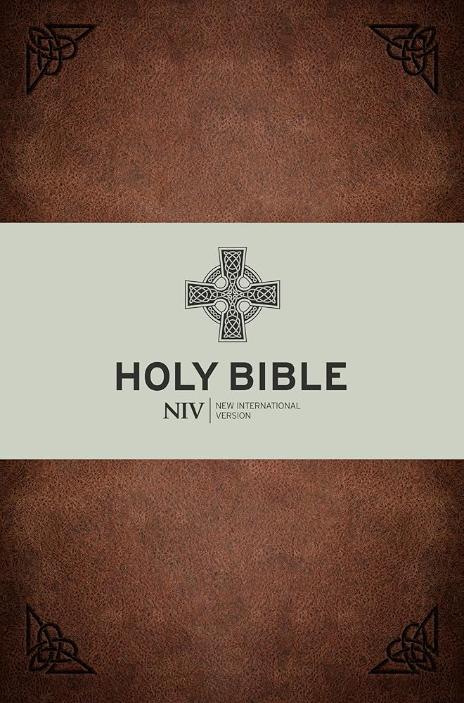 NIV Celtic Bible: Rustic Leather-touch cover cover image