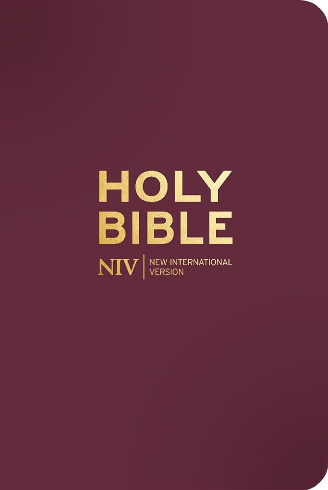 NIV Pocket Mulberry Bible with Gold Zip cover image
