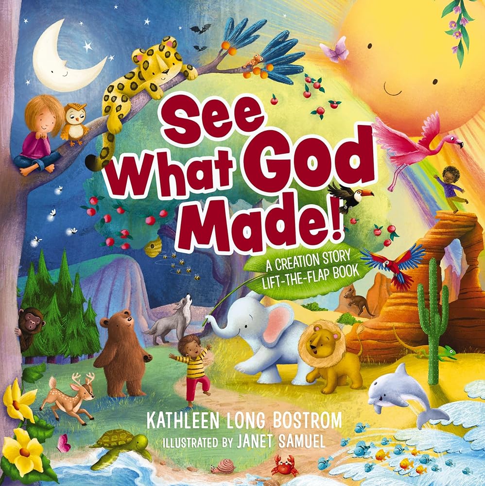 See What God Made!: A Creation Story Lift-the-Flap Book cover image
