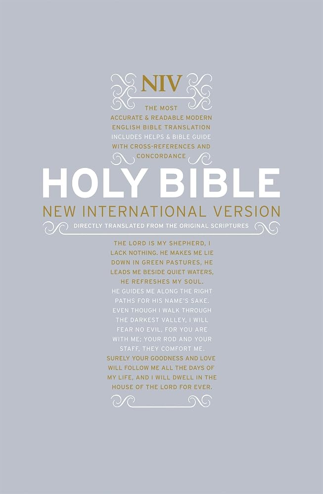 The Holy Bible: New International Version. cover image