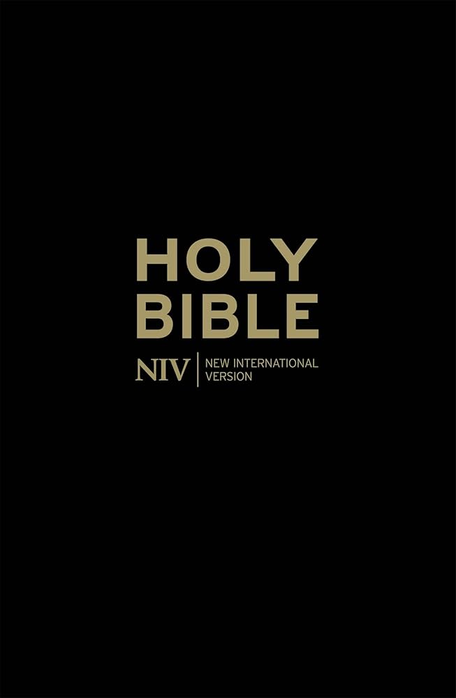 The Holy Bible: New International Version. cover image