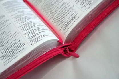 NIV Pocket Pink Soft-tone Bible with Zip