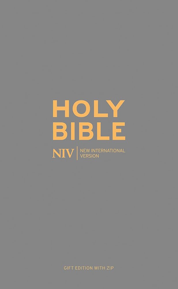 The Holy Bible: New International Version. cover image