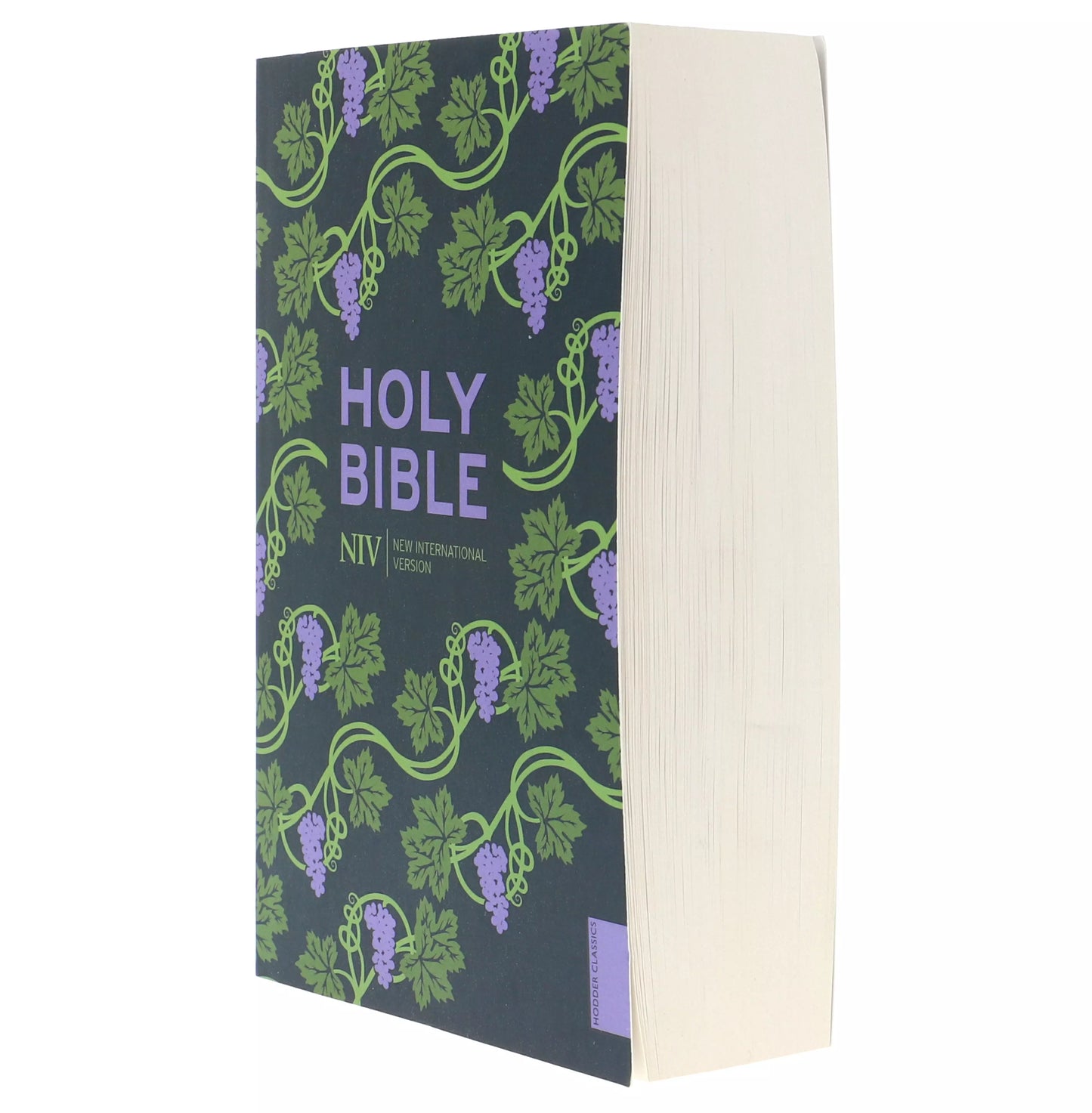 NIV Holy Bible (Hodder Classics)