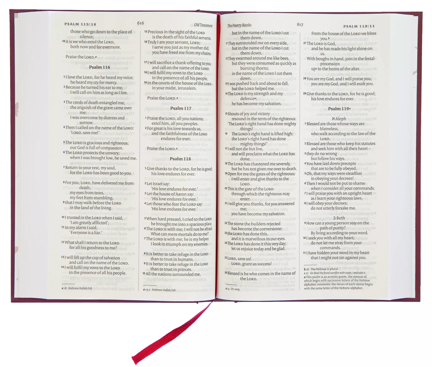 NIV Larger Print Burgundy Hardback Bible