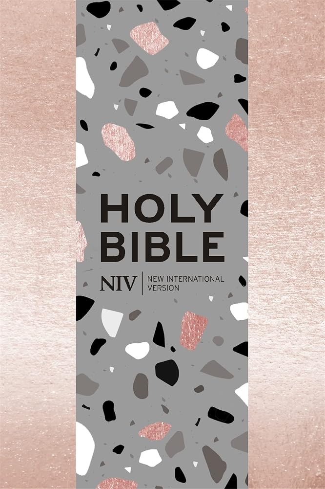 NIV Pocket Soft-tone Bible 3 cover image