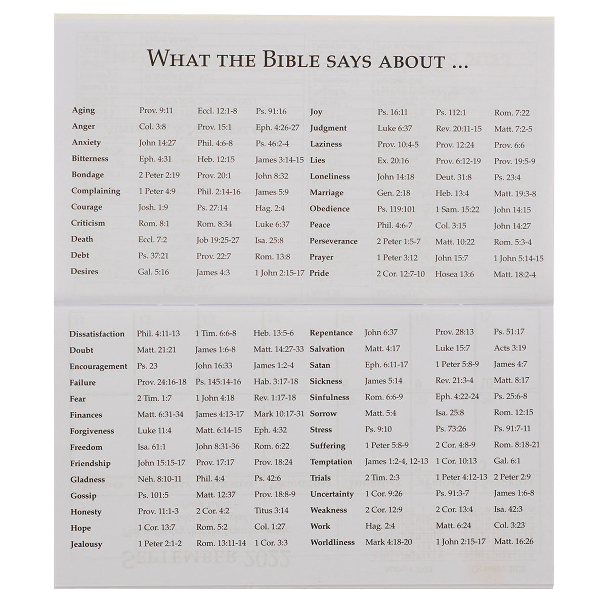 2025 Diary - Daily Planner - The Lord is My Light and My Salvation