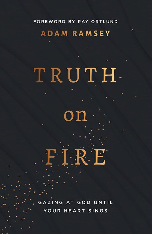 Truth On Fire: Gazing at God Until Your Heart Sings (Engage your mind and emotions in your walk with God) cover image