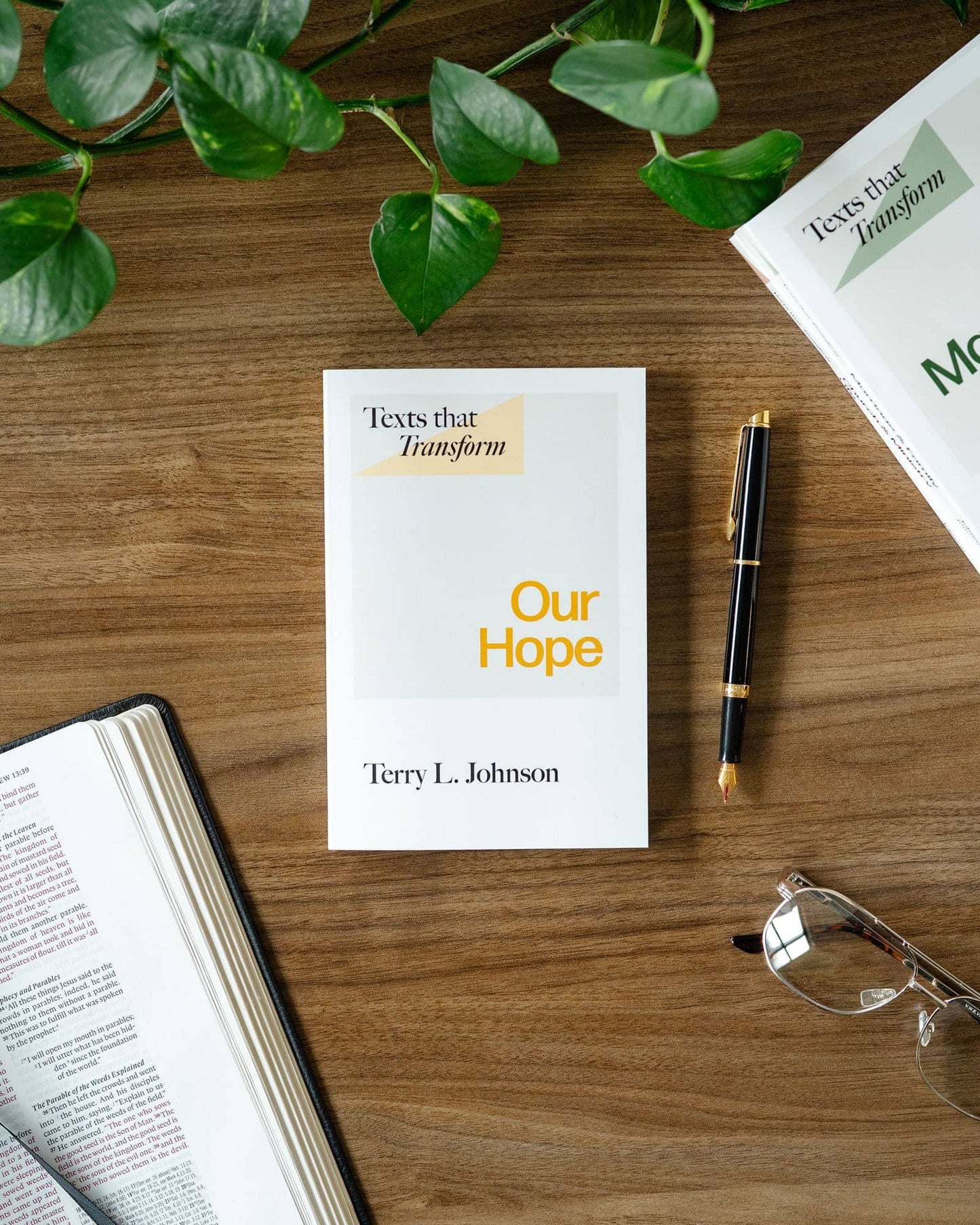 Texts That Transform: Our Hope