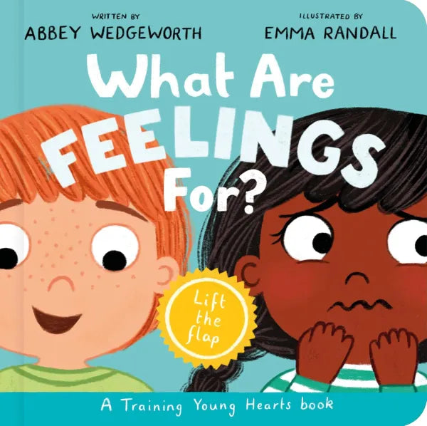 What Are Feelings For? A Lift-the-Flap Board Book