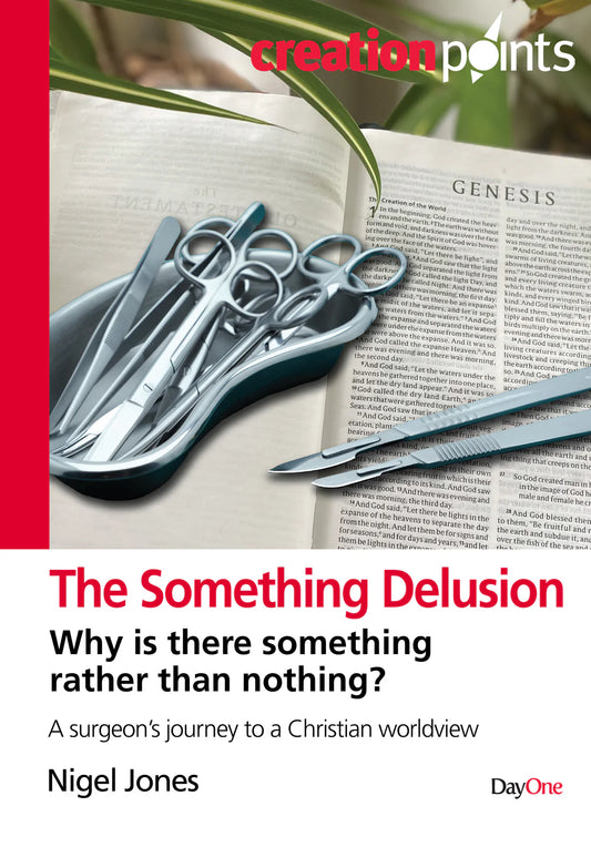 The Something Delusion: Why is there something rather than nothing? (Paperback)