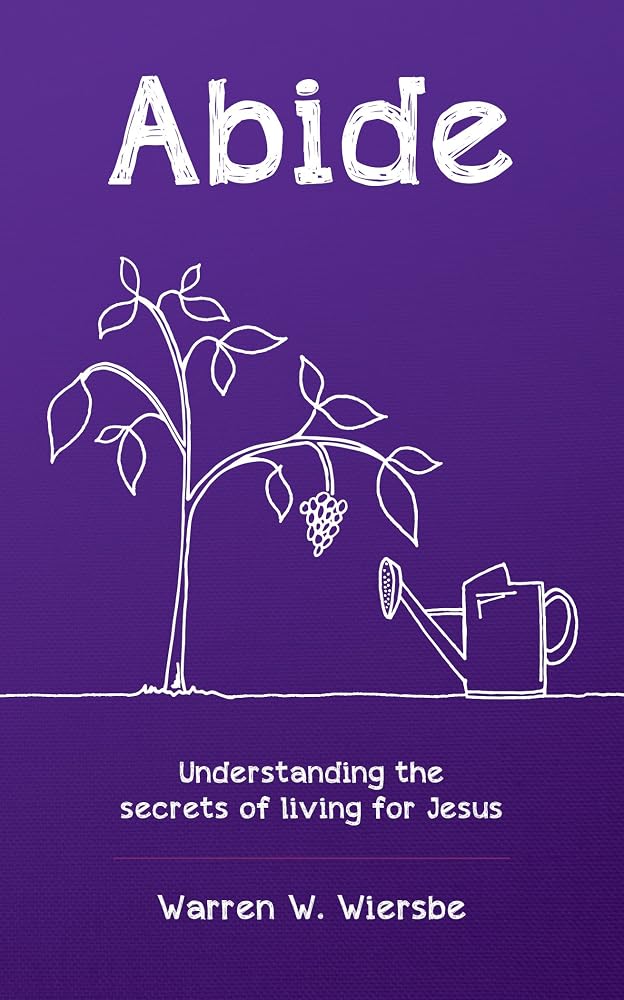 Abide: Understanding the secrets of living for Jesus cover image
