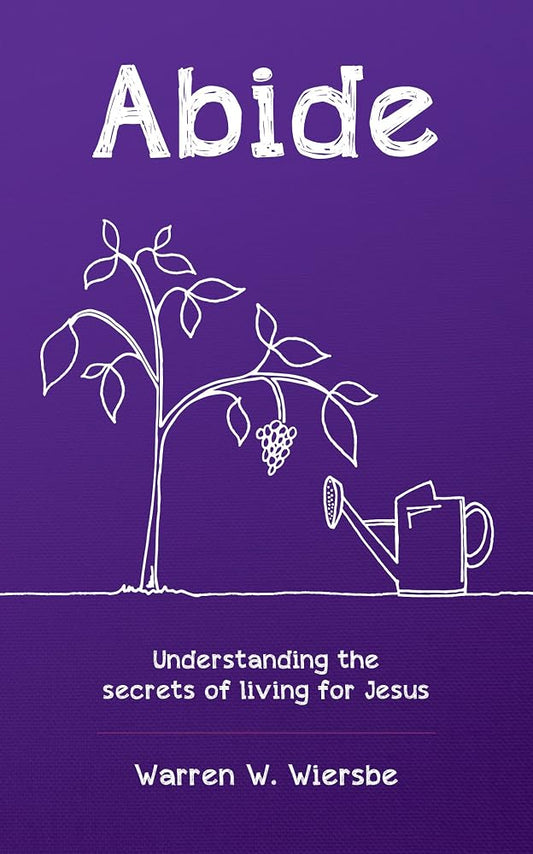 Abide: Understanding the secrets of living for Jesus cover image