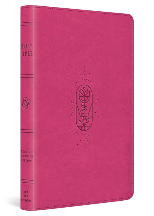 ESV Holy Bible for Kids (TruTone, Berry, The True Vine Design) cover image