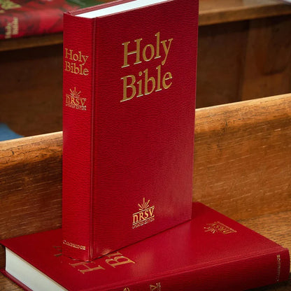 NRSVue Popular Text Bible with Apocrypha, NR530:TA