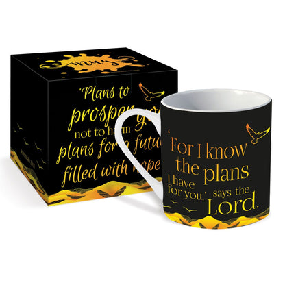 Plans for you Christian Mug & Giftbox