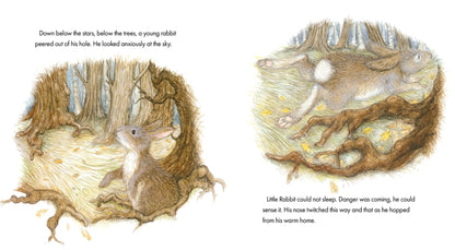 Little Christmas Tree (Hardback)