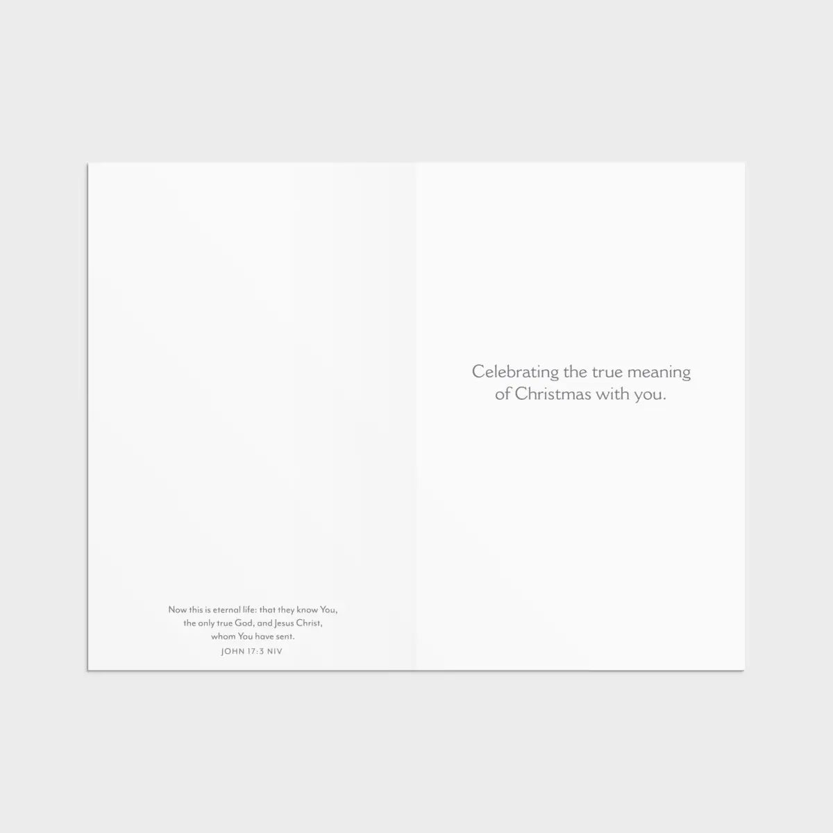 The Only Thing That Really Matters is Jesus - 18 Christmas Boxed Cards and Envelopes